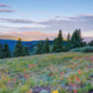 Meet your Posher, Jen